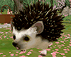 Jumping Hedgehog