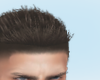 Lyon Hair Brown