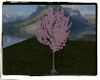 ~SF~Cherry Blossom Tree~