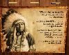 Native Amer-This Land