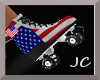 ~American Roller Skates