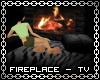 Fireplace & Plasma TV