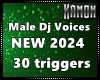 MK| Dj Male Voice 2024