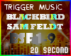 Blackbird Sam Feldt