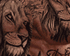 Lion King Tattoos
