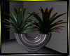 O*Duel Plant & vase