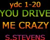 YOU DRIVE ME CRAZY