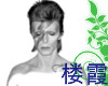 Tattoo ziggy Bowie