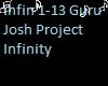 Infinity Josh Guru