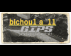 Gips - Bichoute // Clip