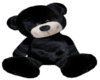 Black Teddy Bear