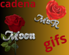 cadena gifs mar moon