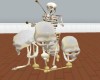 (v) Anima Skeleton Drum