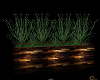 Garden Planter