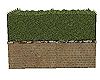 Brickewall Hedges