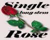 Single Rose STKR