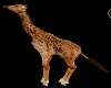 M*Afriqua Girafe animée