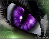 ((MA))Cat Eyes Purple