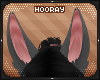 !H! Remi bunny ears