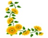 *M* Sunflower frame