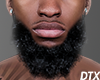 DTX - Realistic Beard