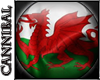 Welsh Badge