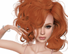Althea ginger