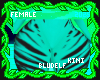 Minto Kini