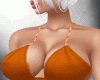 Autumn vibes  bundle