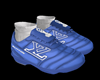 Footprint Blue