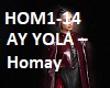 AY YOLA-Homay