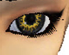 Wolf eyes yellow