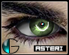 |IGI| Asteri Eyes v.6 L