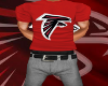 [DC] Falcons Tee