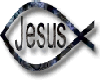 Jesus Fish in Black Lg