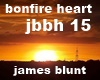 bonfire heart