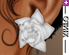 [i] Rose Earring - White