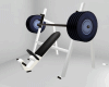 Gym Fitness Chair