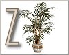 Z Naturalist Plant O V1