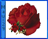 M Royal Crimson Rose Sm