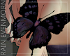 Phantazia Arm Butterfly