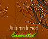 Forest Enchanted(Autumn)