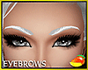 Eyebrows Platinum