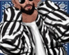 M|►Zebra  Bundle