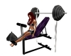 weight lifting bench