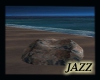 Jazzie-Meditation Rock