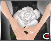 *SC-White Rose