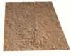 SAND FLOOR
