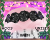 ꨄBlossom Rosesꨄ