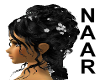 AC*Soft Noir Naar